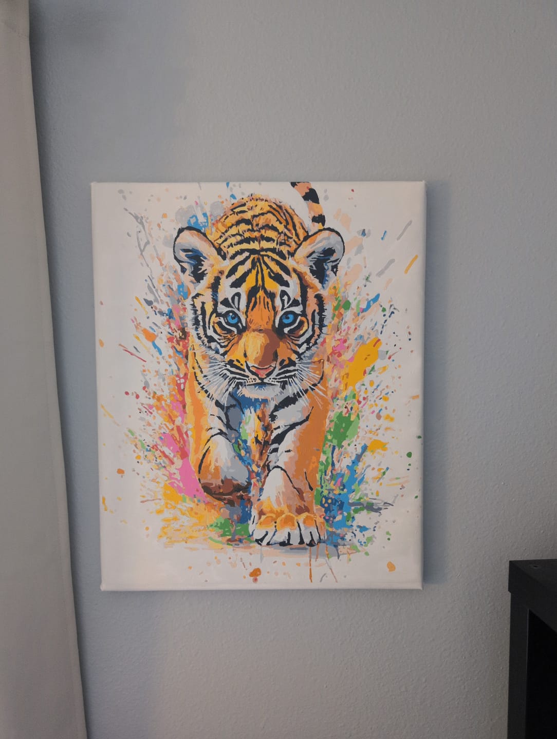 Customer photo review of Tiger Cub Splash