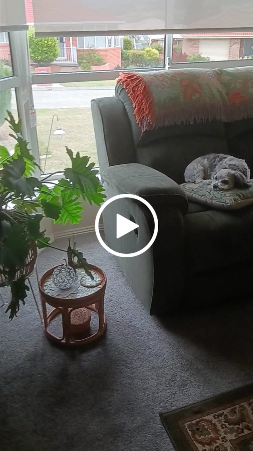 Customer video review of Oasis Rattan Table