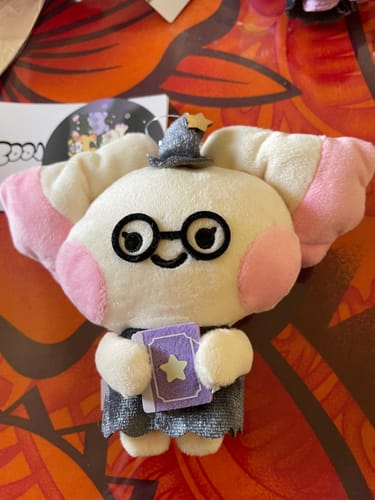 Customer's Ddangyo plush toy from the ATEEZ Mighteez collection, wearing a wizard hat and glasses and holding a book.
