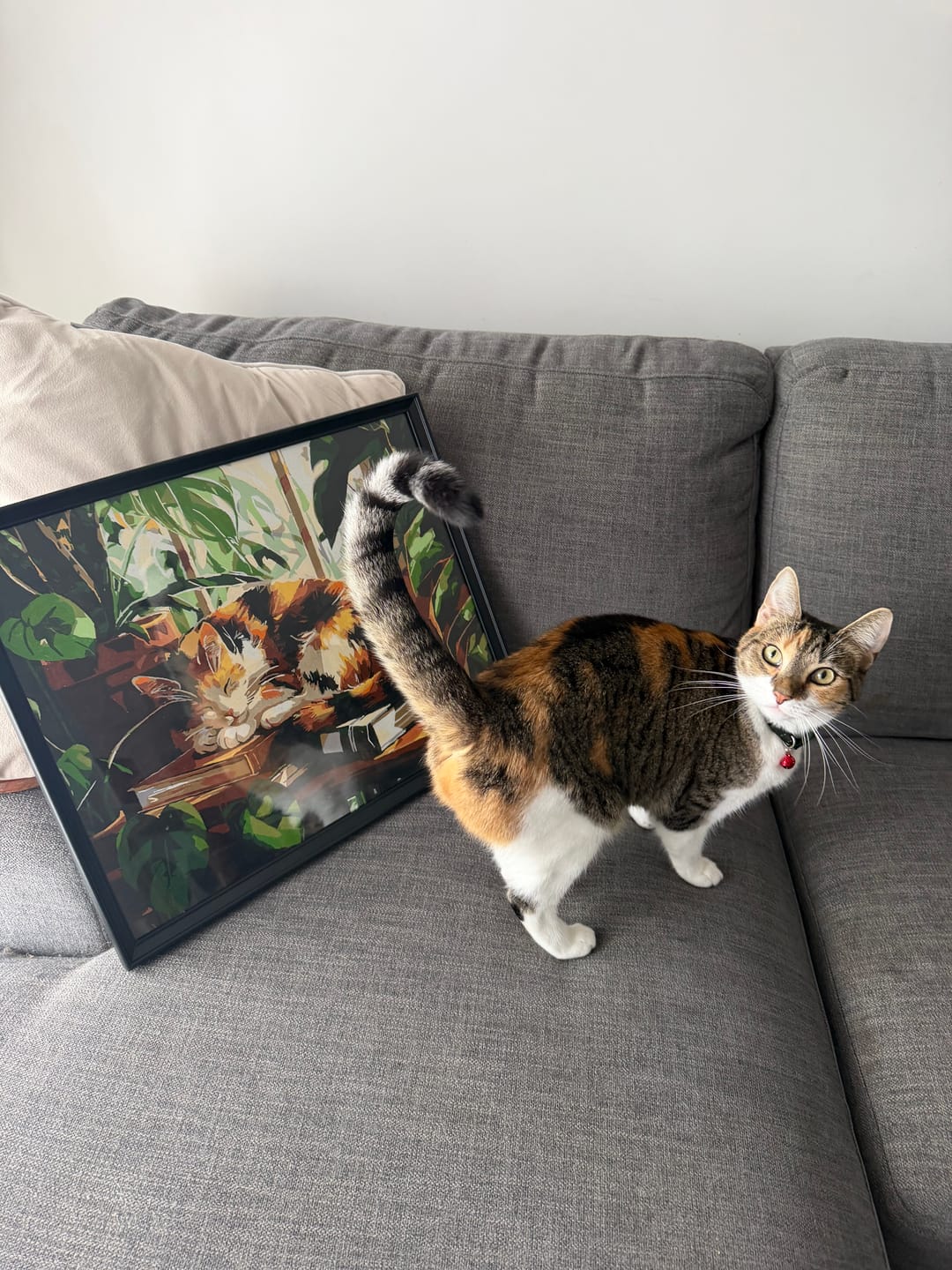 Customer photo review of Sleeping Cat at the Window | Paint by Number