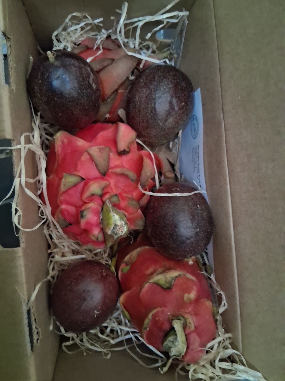 Customer photo review of Drachenfrucht rot von Julian Aktionspreis % 2kg