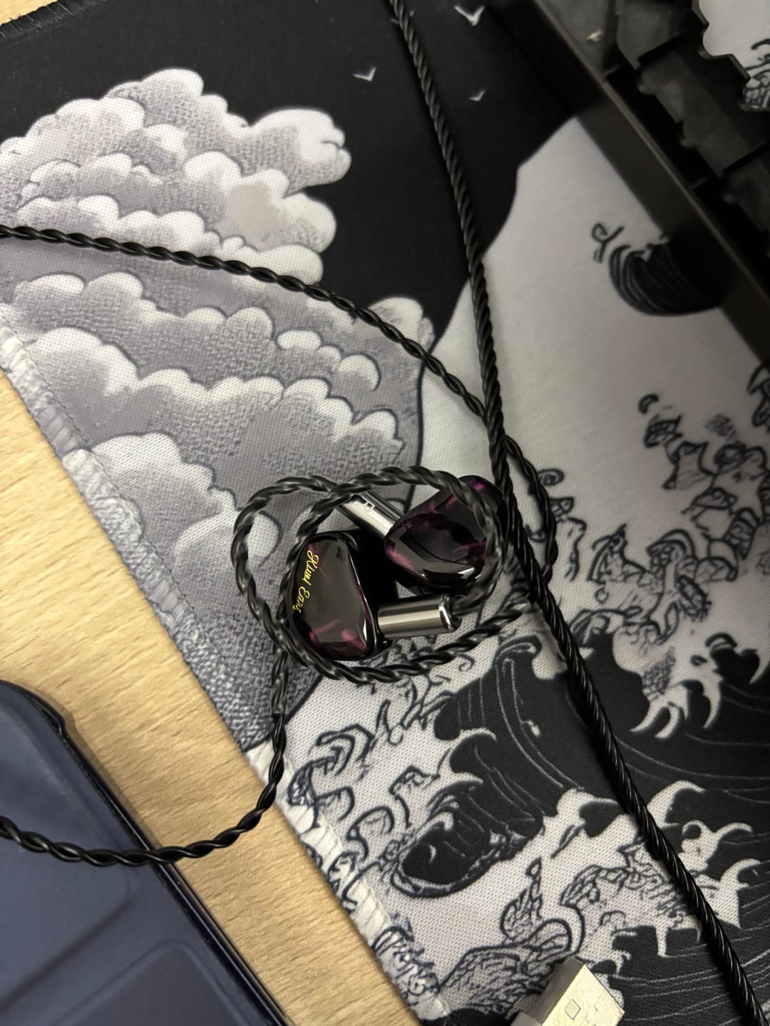 Customer photo review of Kiwi Ears Cadenza IEM Kulaklık