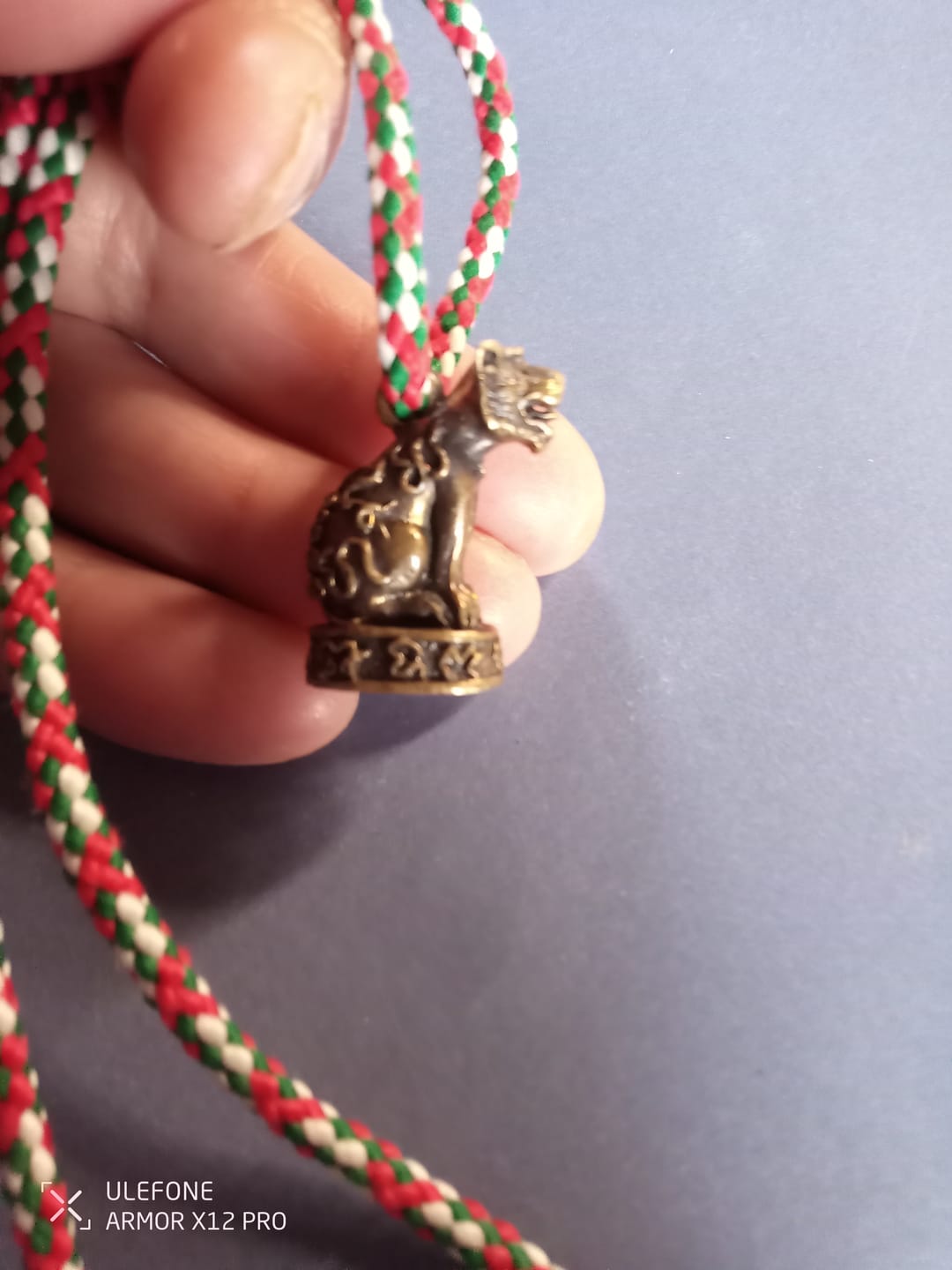 Customer photo review of 🐯 Amulette Tigre Phaya Seuar Roon Mang Mee Tawee Sap - Vénérable Luang Phor Luea du Wat Tha Mai Nuea # 835