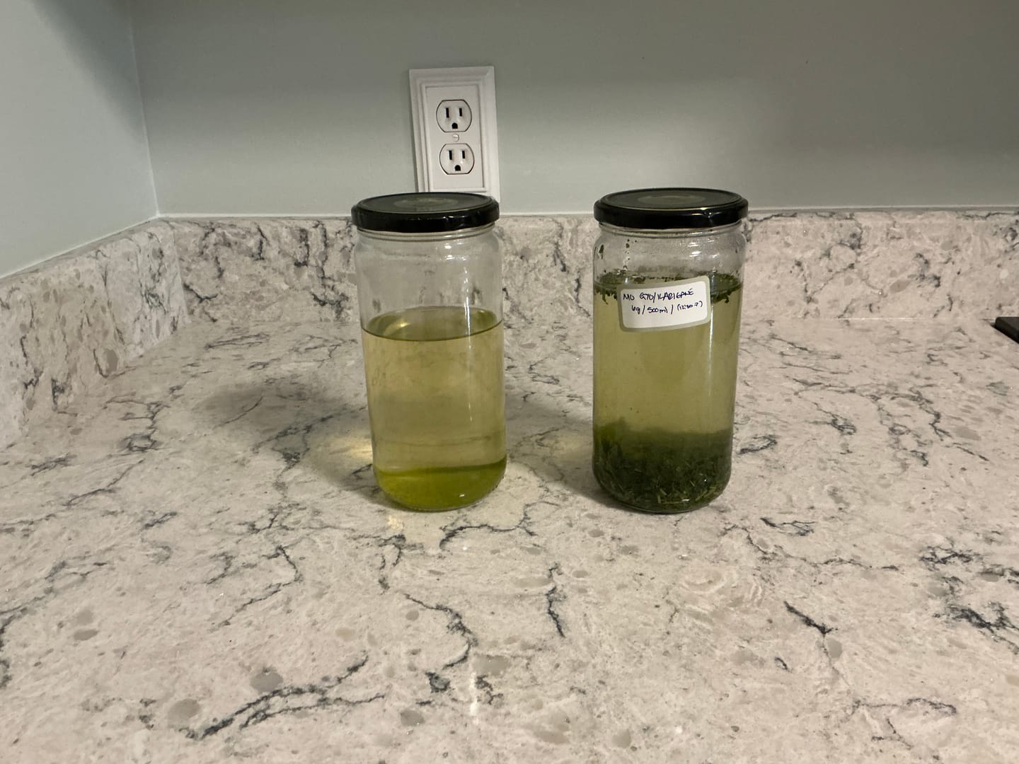 Customer photo review of Gyokuro Karigane