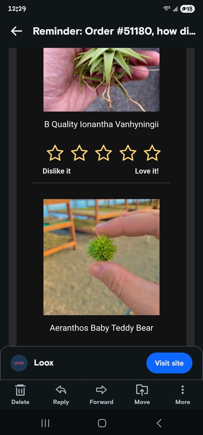 Customer photo review of Aeranthos Baby Teddy Bear