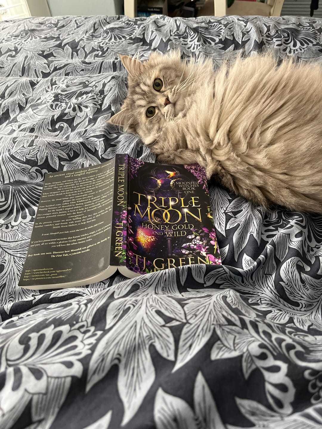 Customer photo review of Moonfell Witches Paperback Bundle