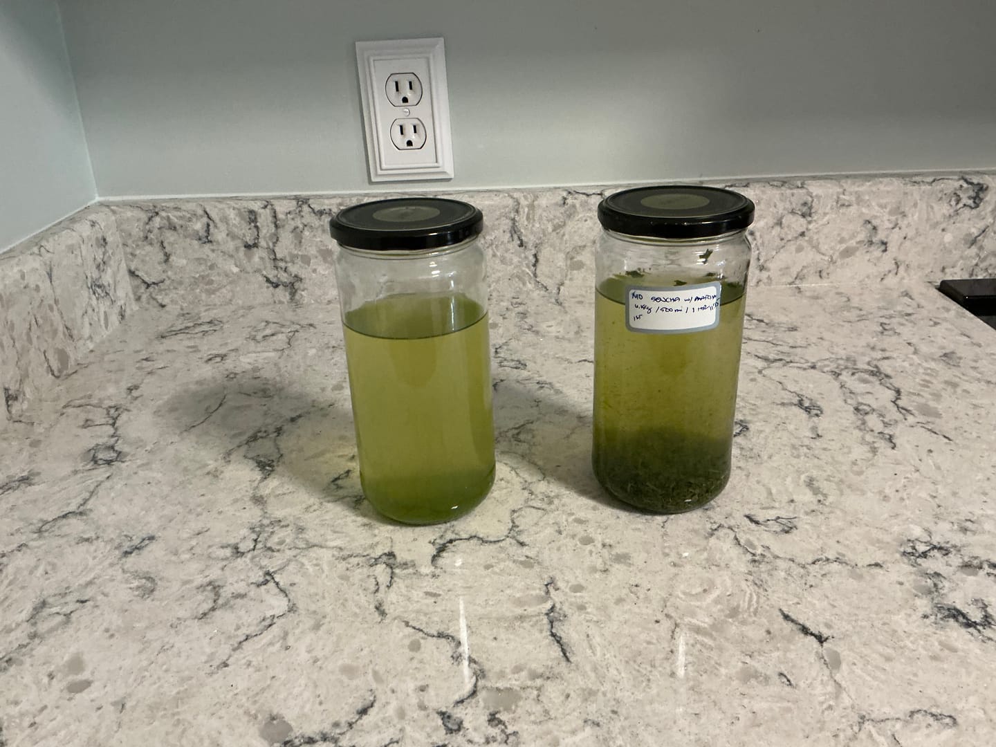 Customer photo review of Sencha Shizuku with Matcha Powder
