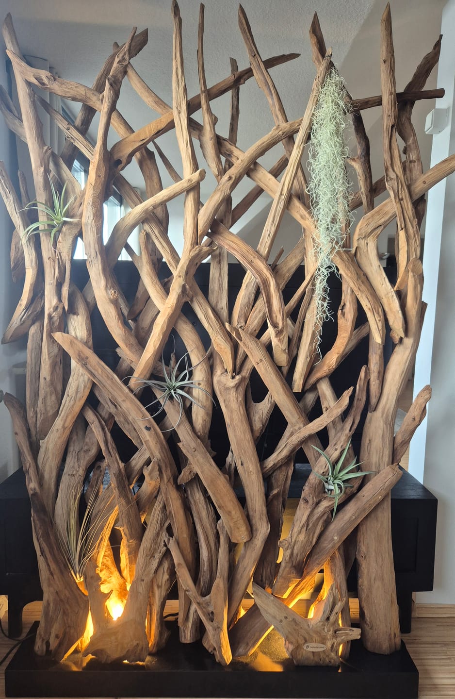 Customer photo review of Design Raumteiler BLUMA mit Beleuchtung im Sockel