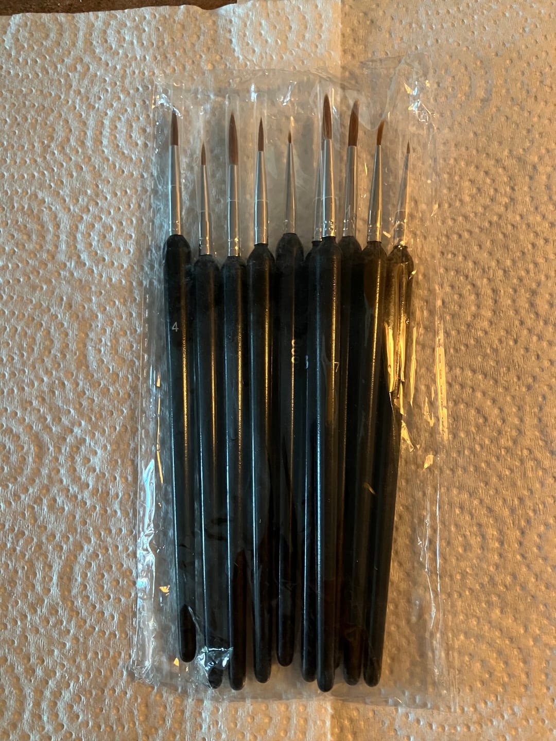 Customer photo review of Precision Detail Brushes (Set of 10)