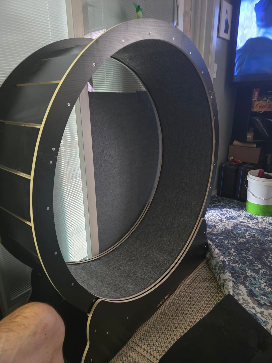 Customer photo review of Nordic Beast Cat Wheel — Built for Large, High Energy Indoor Cats