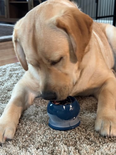 Customer photo review of Freezstick - Indestructible Enrichment Chew