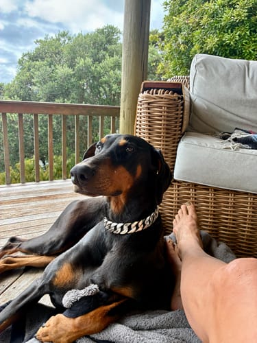 Customer photo review of Rogue Chrome Chain 25mm