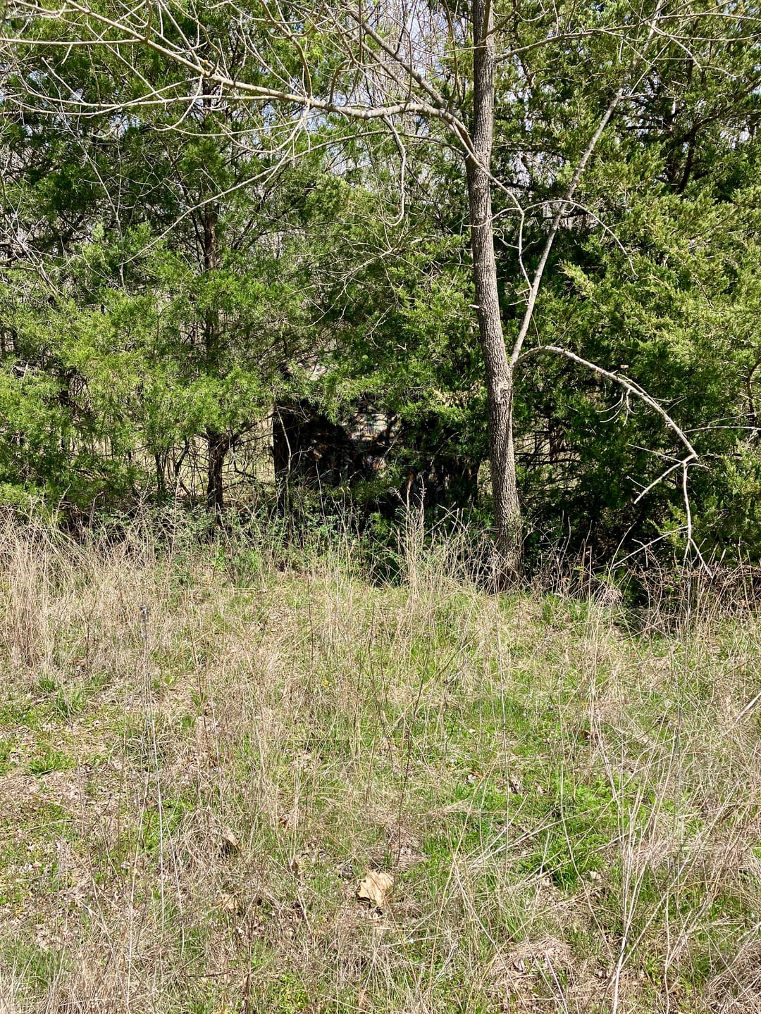 Customer photo review of Vis Series See Through Hunting Blind, Pop Up Ground Deer Blind