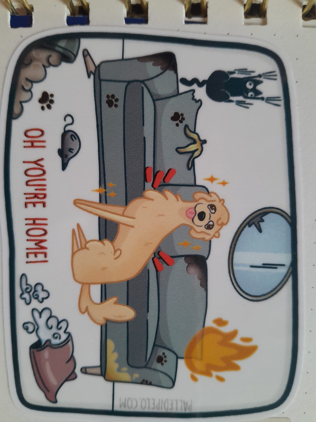 Customer photo review of Sticker Cane