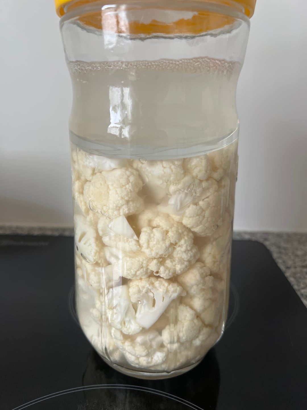 Customer photo review of KEFIRKO DIY Glas Veggie (1.4L/9dl) / GELB