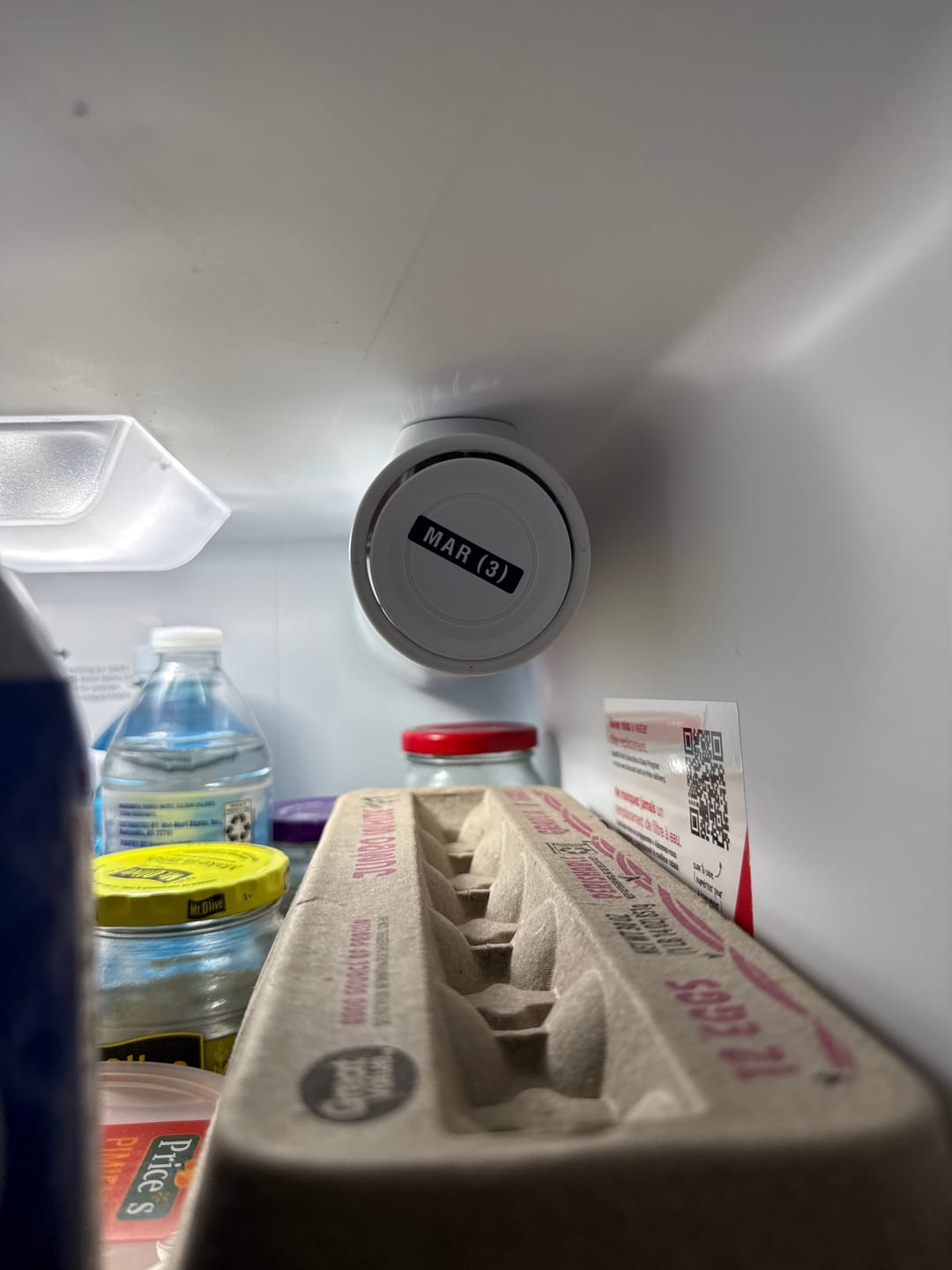 Customer photo review of GlacierFresh Replacement for Frigidaire FPPWFU01 & PurePour PWF-1 Water Filter
