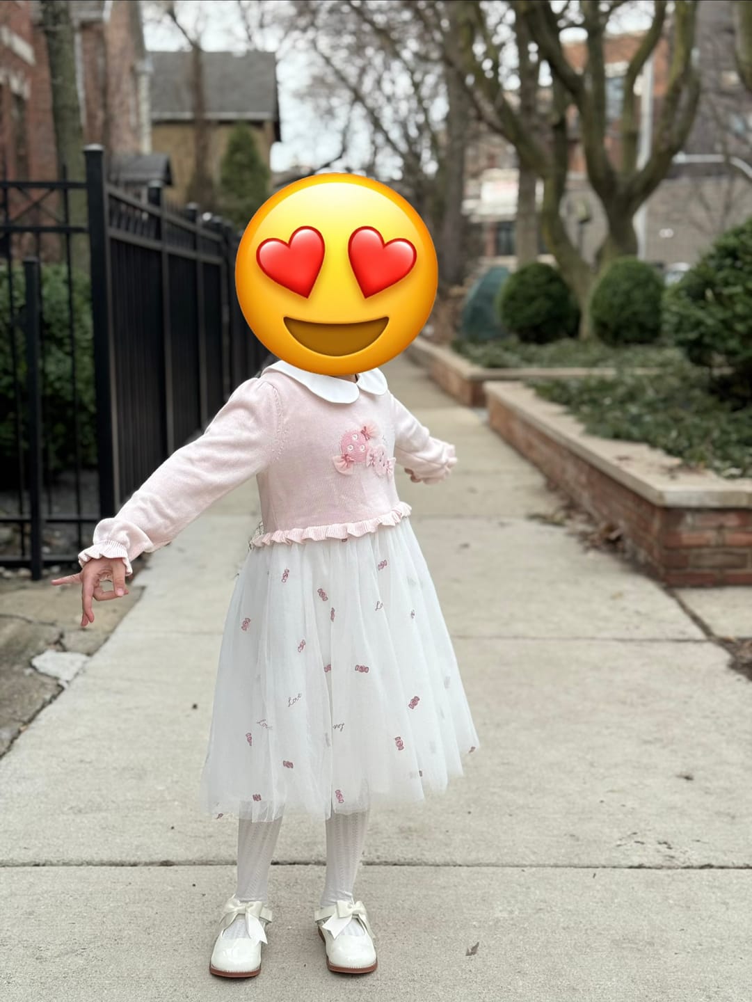 Customer photo review of Dave&Bella Toddler Girls Cute Pink Long Sleeve Princess Mesh Dress