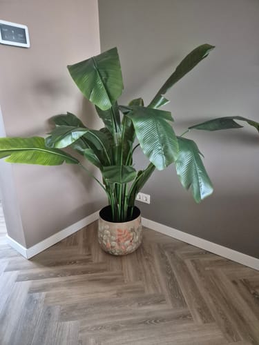 Customer photo review of Strelitzia Kunstplant 180cm Deluxe