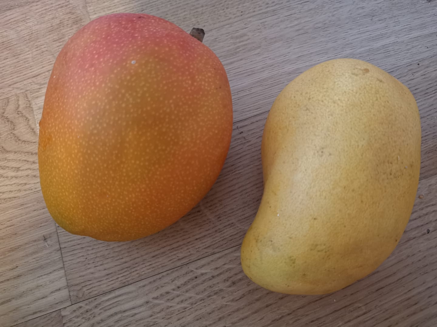 Customer photo review of Mango-Trio Mix-Box 2kg Sonderaktion %