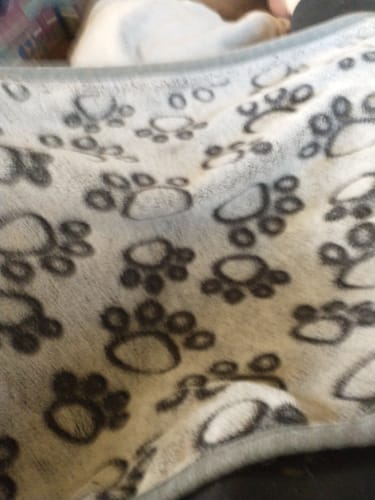 Close-up of the customer's soft Anti-Stress Blanket, showing its grey paw print pattern.