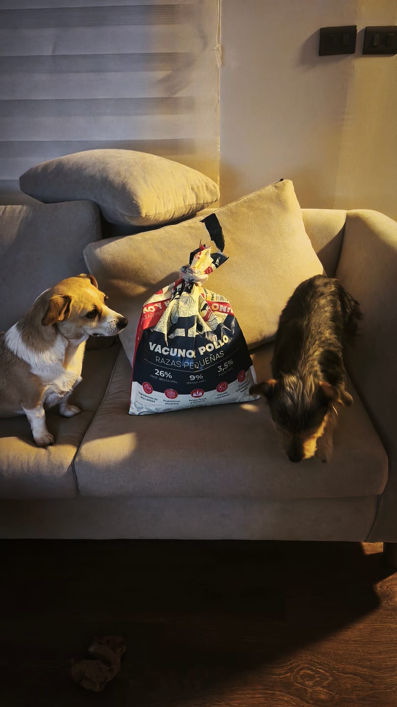Customer photo review of PetFamily Foods Razas Pequeñas