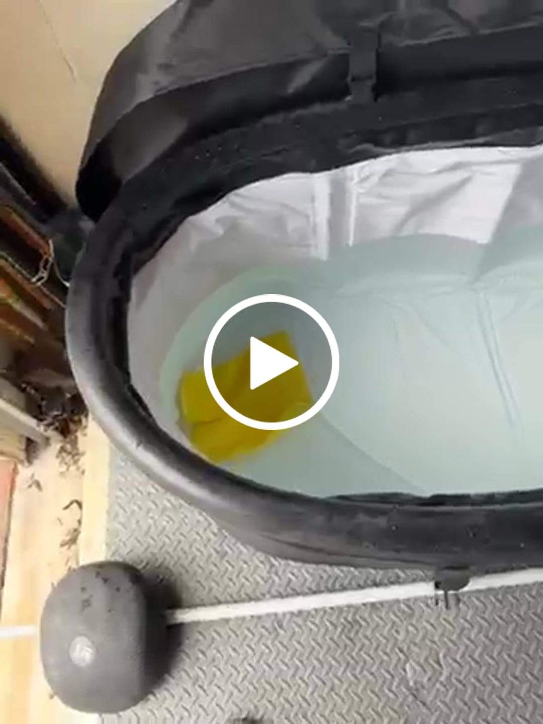 Customer video review of The Long Pod