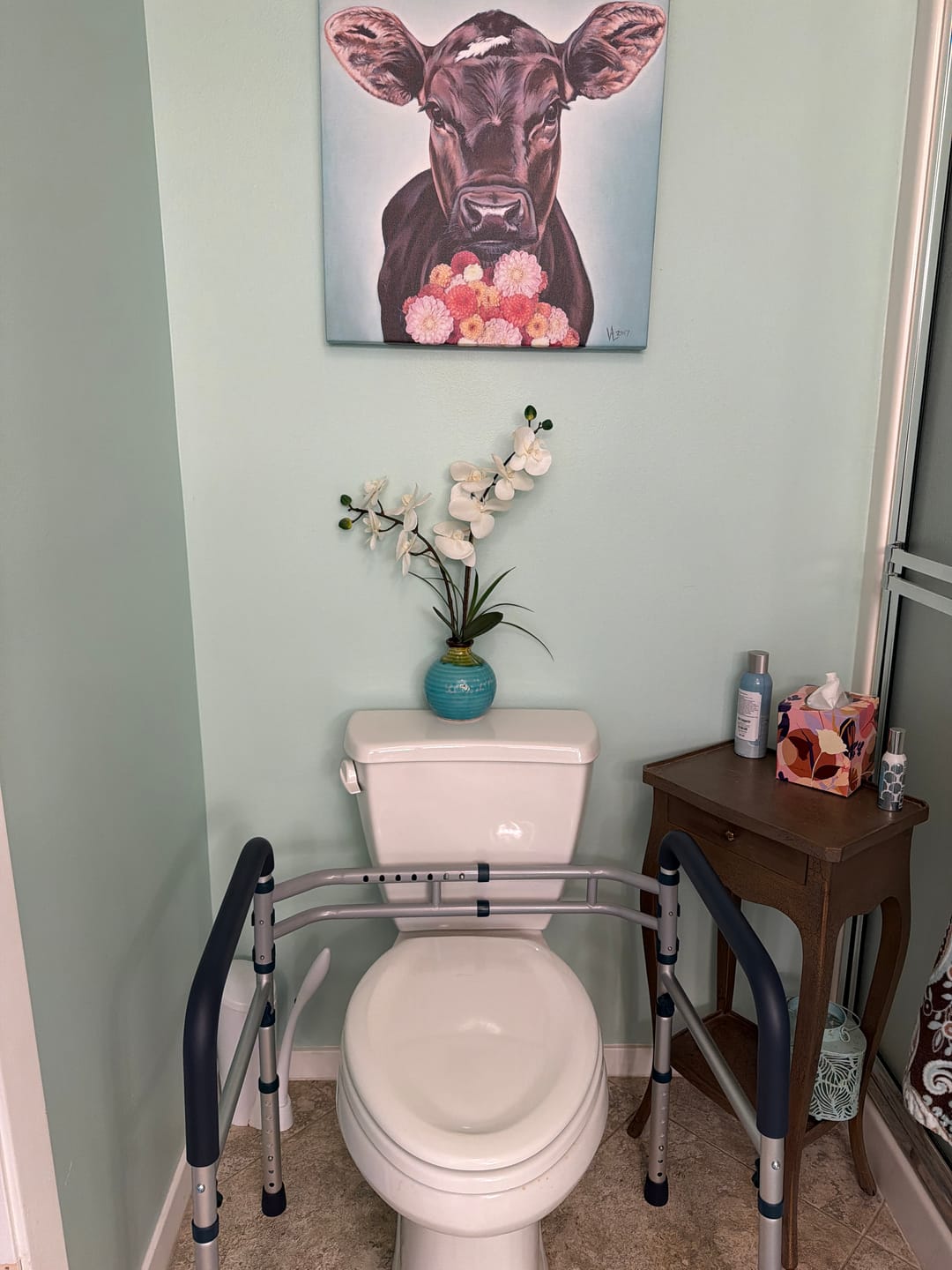 Customer photo review of Toilet Safety Rail (350lb)
