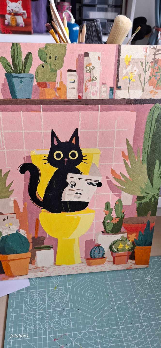 Customer photo review of De zwarte kat op het toilet