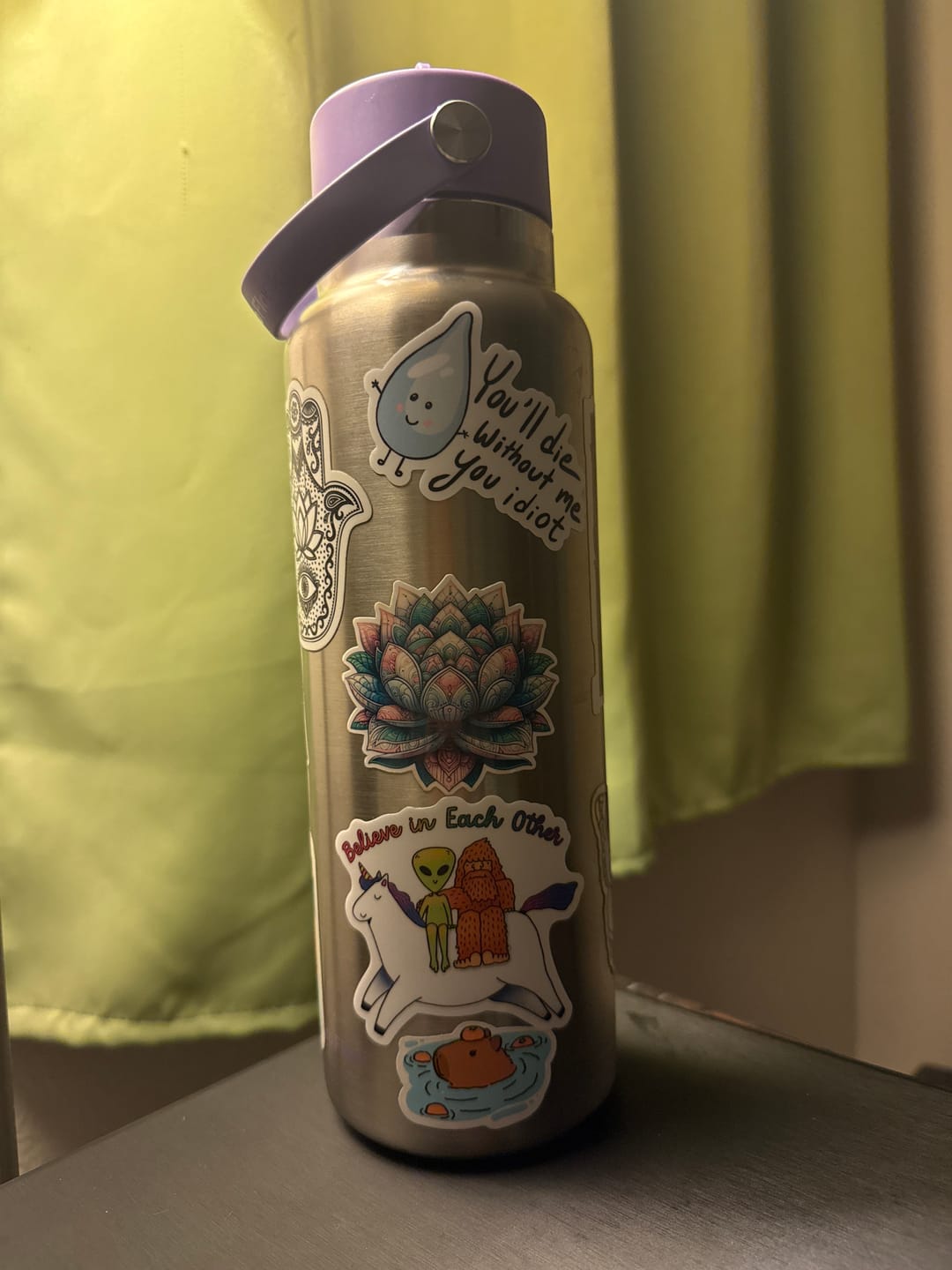 Customer photo review of "You will die without me you idiot" water sticker
