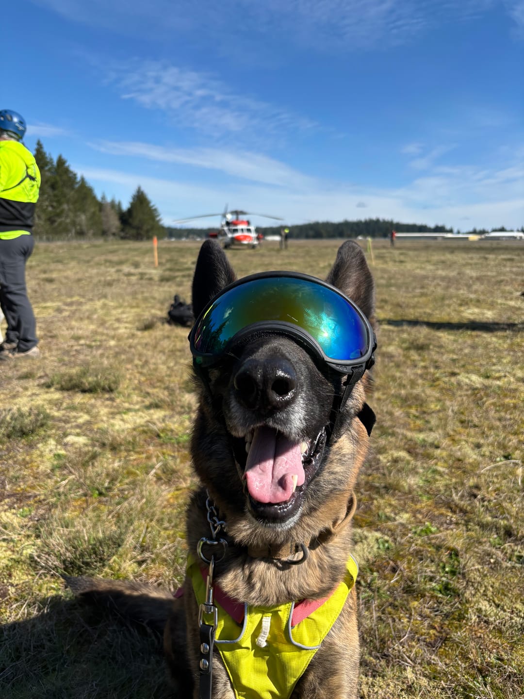 Customer photo review of Adjustable Dog Goggles (Doggles)