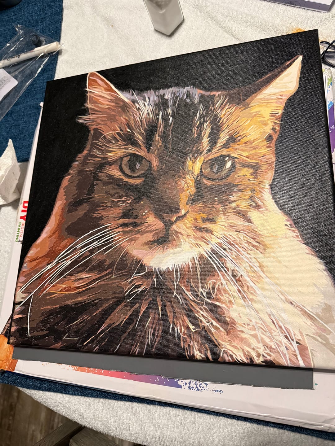 Customer photo review of Custom Paint by Number