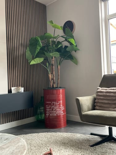 Customer photo review of Alocasia Kunstplant 140cm