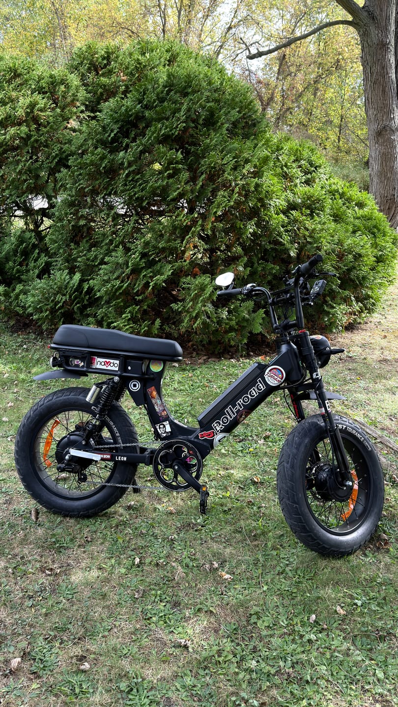 Customer photo review of Leon Dual Motor Ebike