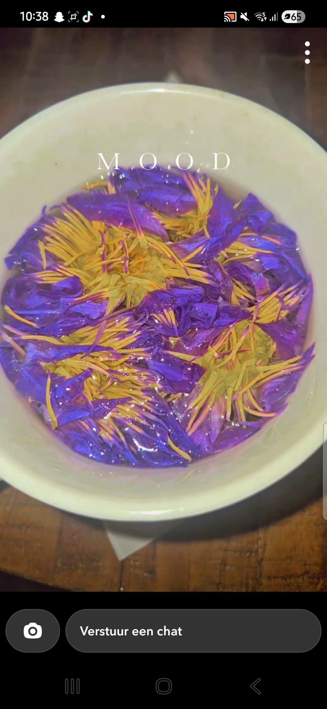 Customer photo review of PRE ORDER Blue Lotus Flower (Nymphaea caerulea)