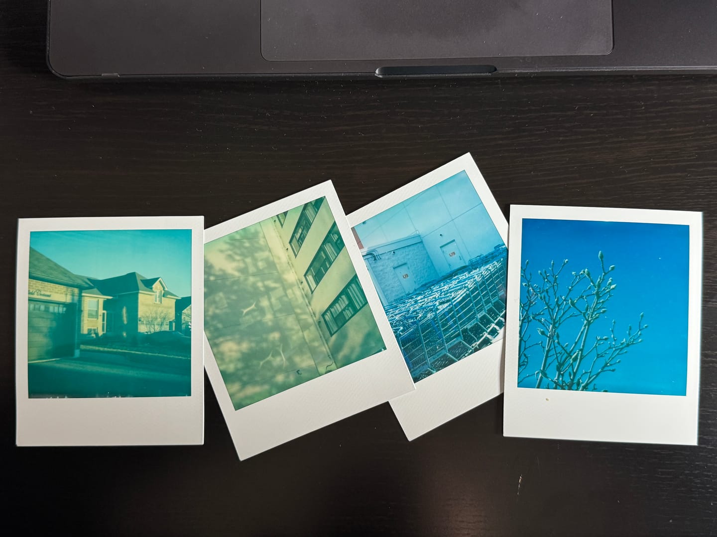 Customer photo review of Polaroid SLR 680/690 Camera Repair