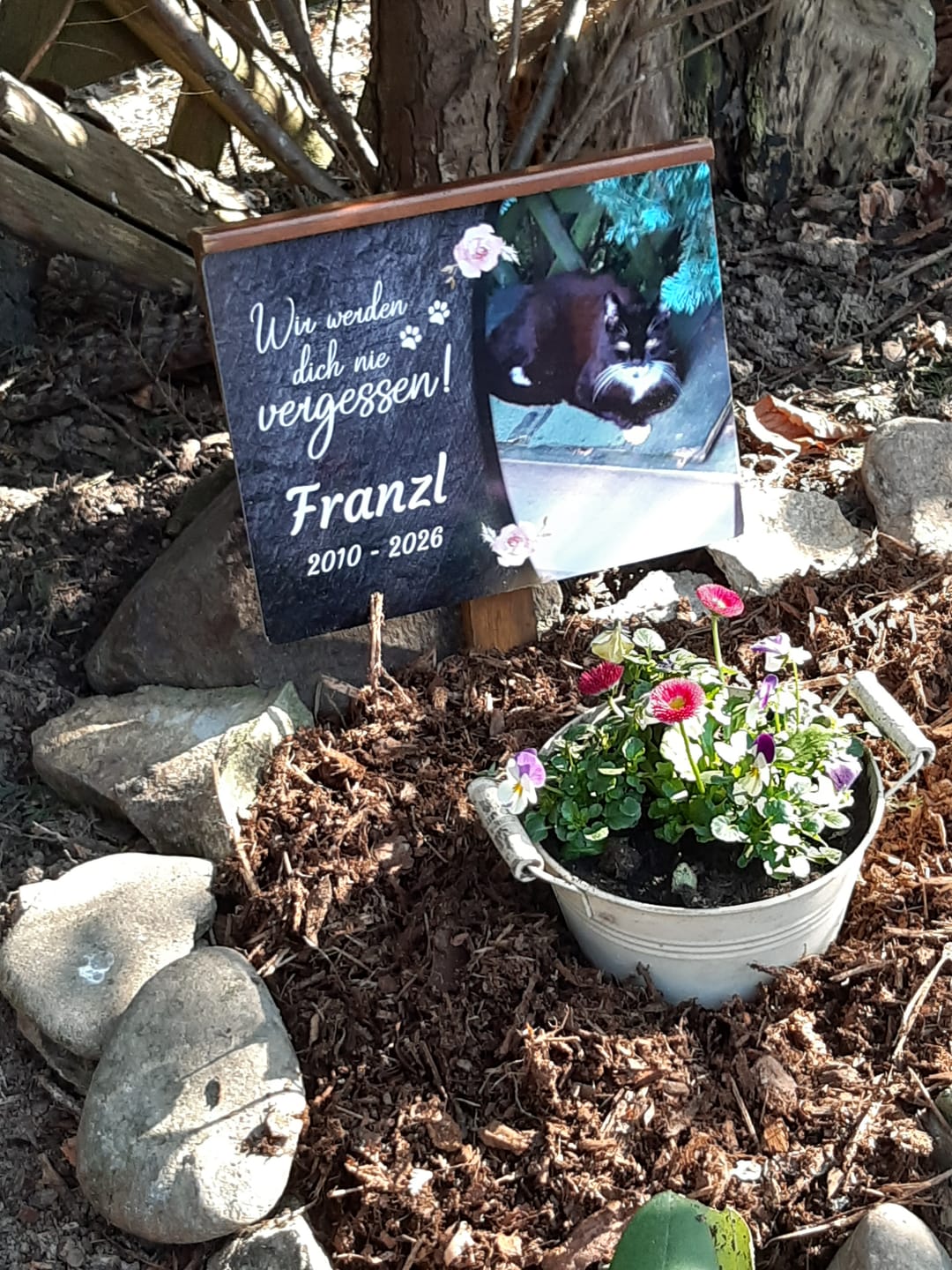 Customer photo review of Katzen Gedenktafel mit Foto & Spruch (UV- & Wetterfest)