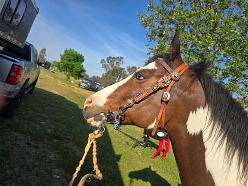 Customer photo review of Sheena  Conchos