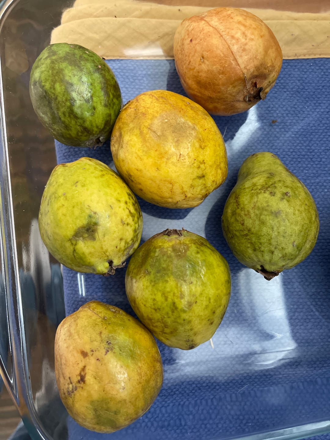 Customer photo review of Cherimoya Bio von Julian Sonderaktion %