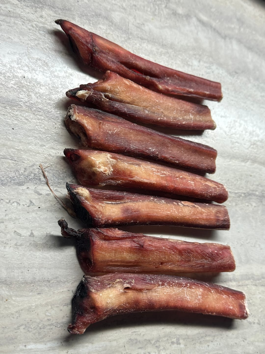 Customer photo review of 6 Inch Jumbo Bully Stick