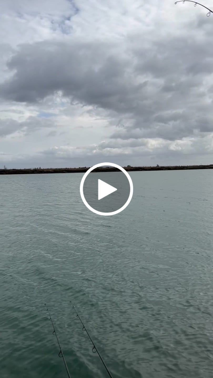 Customer video review of Control Mono 1250m