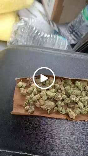 Customer video review of Indoor Micros