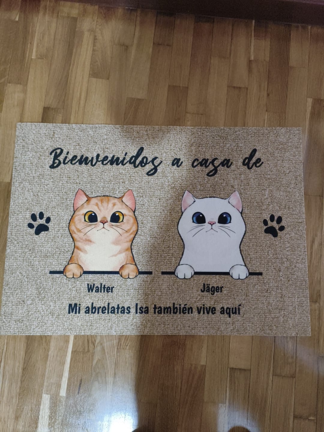 Customer photo review of Bienvenidos a lo de gatos curiosos - Felpudo personalizado