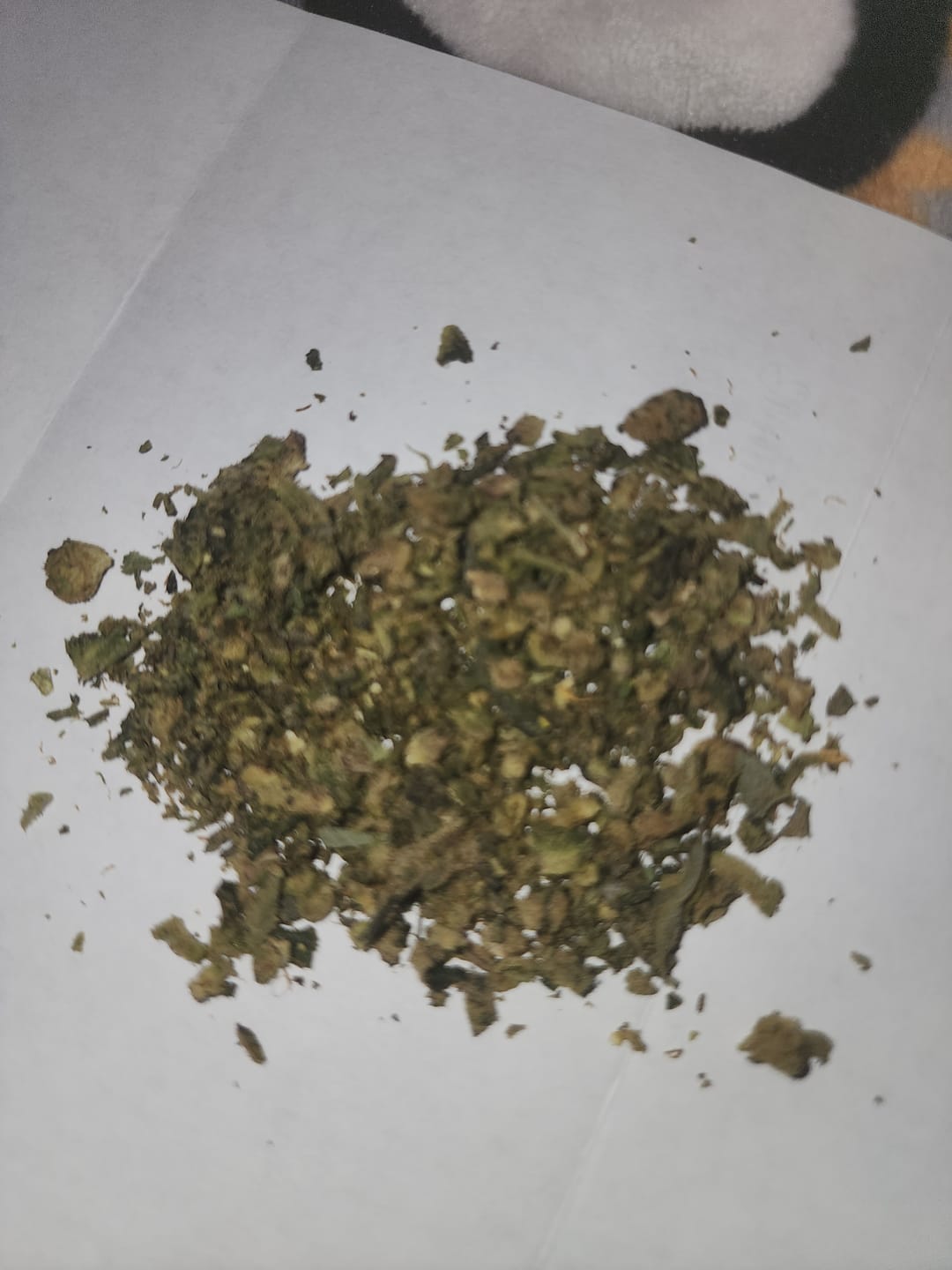 Customer photo review of No 5. Sherbet THCa Shake