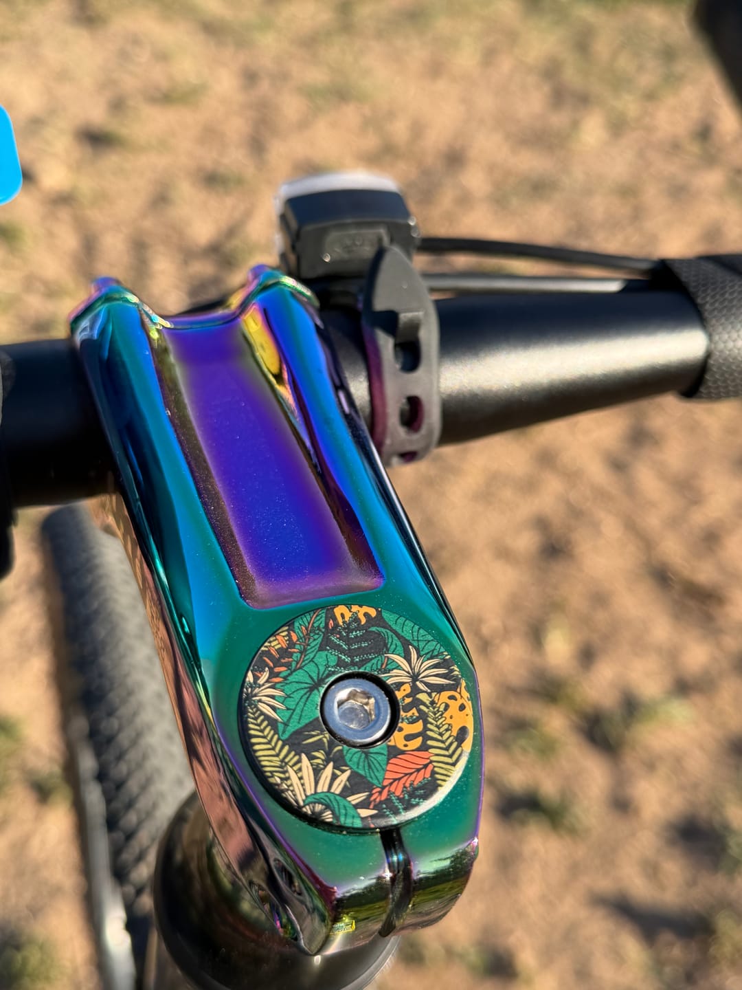 Customer photo review of Botanic Revival Topcap