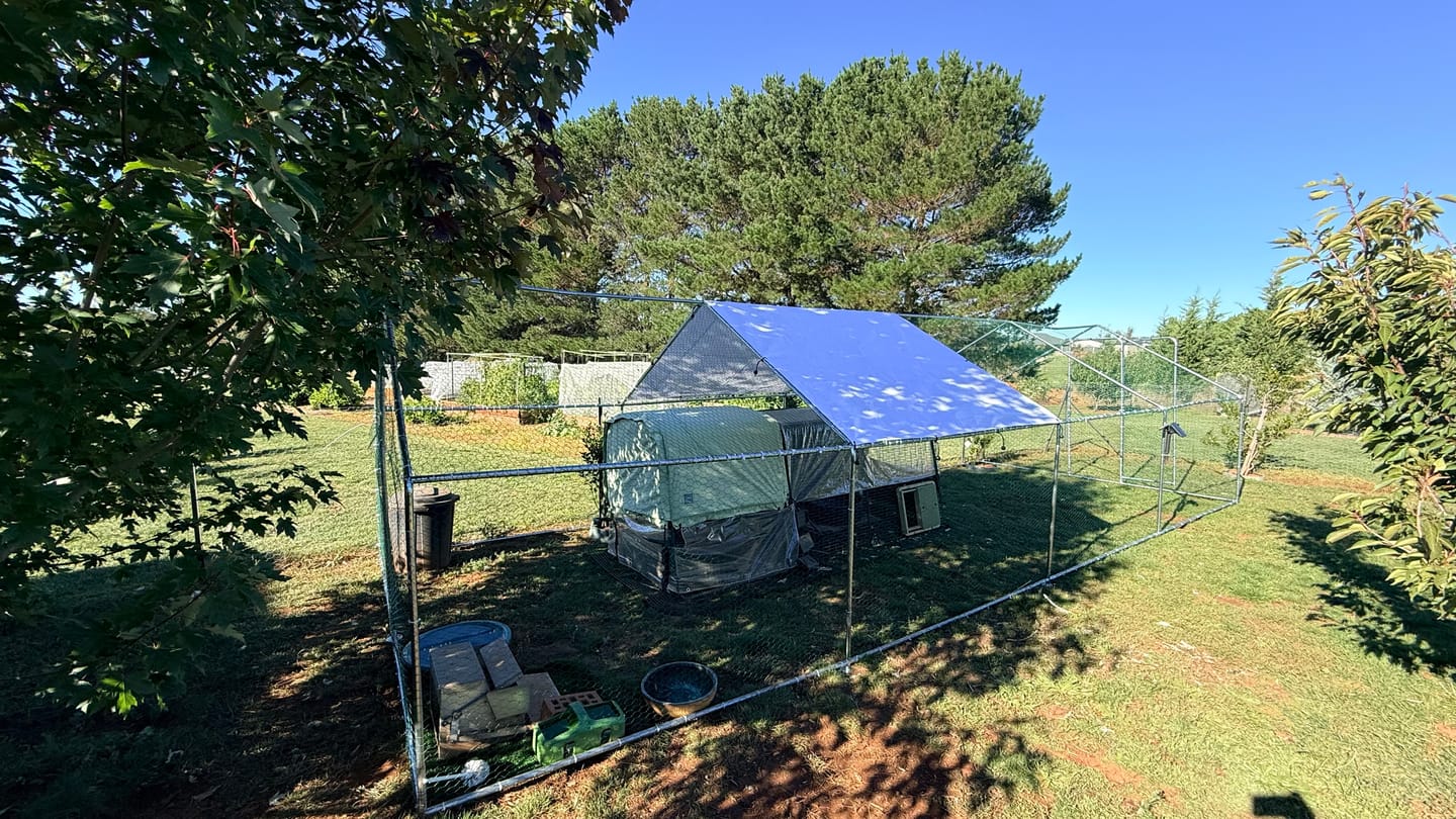 Customer photo review of Extra Large Chicken Coop Galvanised Steel 8m x 3m
