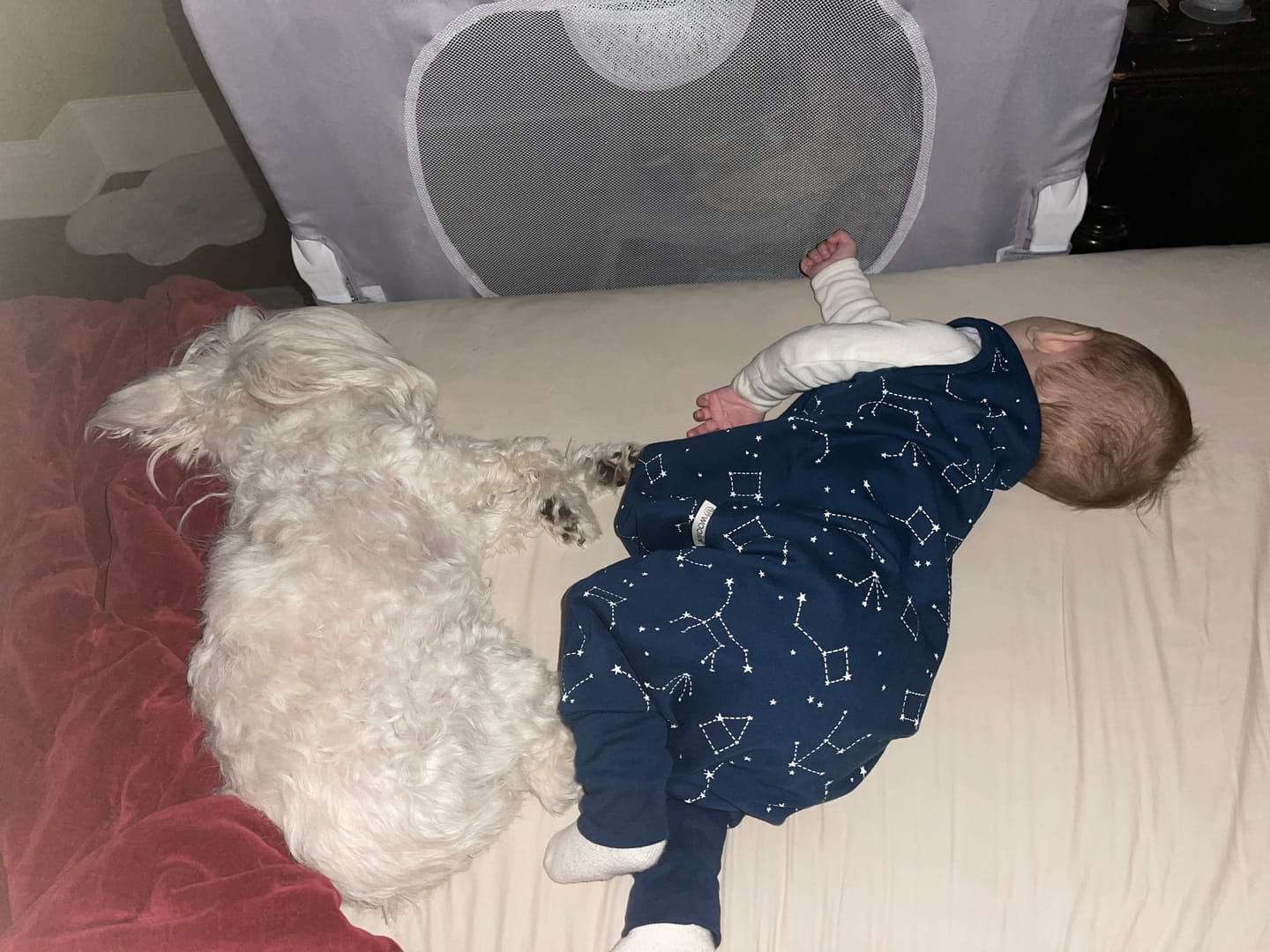 Customer photo review of 4 Season® Baby Sleep Bag with Feet, Merino Wool & Organic Cotton, Night Sky™