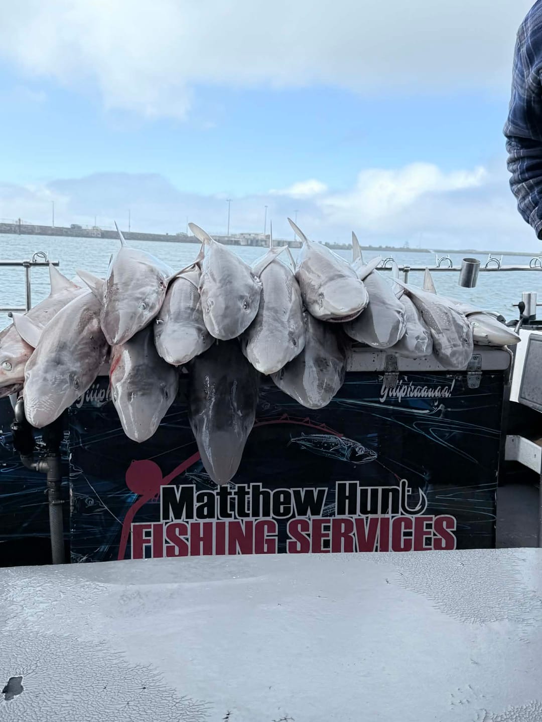 Customer photo review of Pre-tied Dropper Loop Rigs