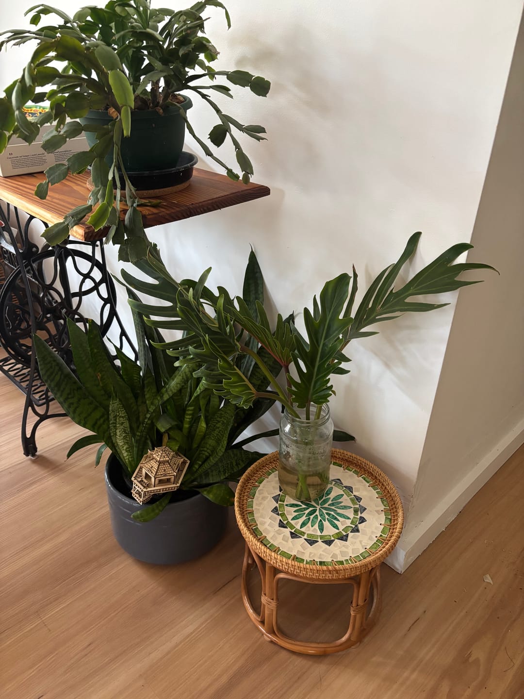 Customer photo review of Oasis Rattan Table Set