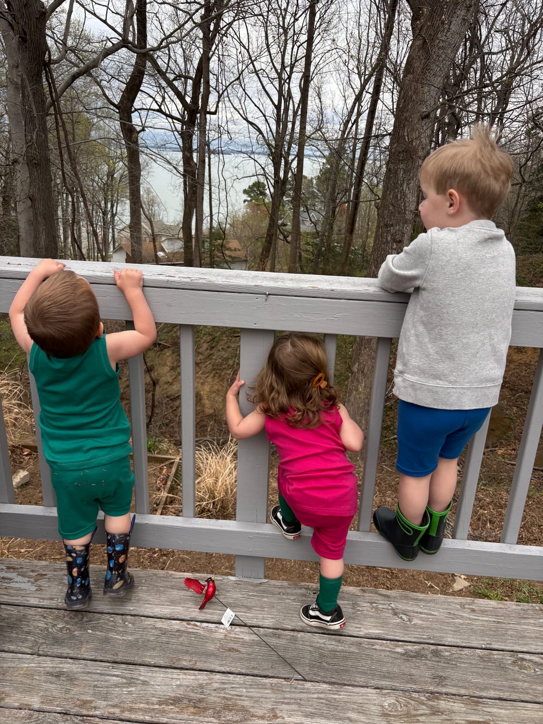 Customer photo review of Kids Merino Wool Adventure Tank Top