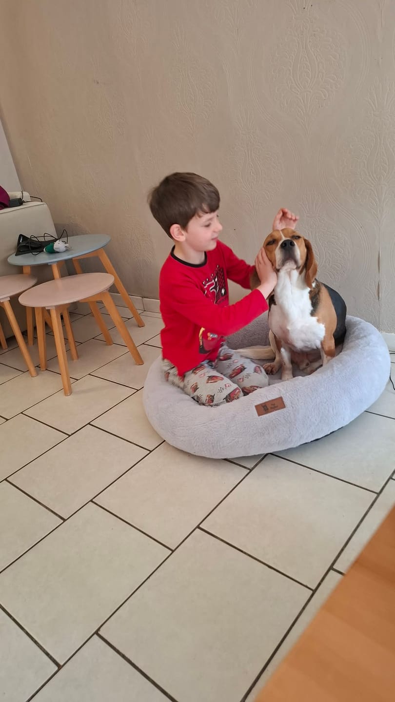 Customer photo review of Pet Perfect Hoes (ENKEL HOES) voor Orthopedische Donutmand - ZONDER VULLING